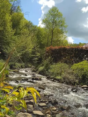 Paysage naturel près de la maison de vacances