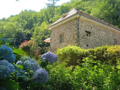 Jardin de l'établissement Gîte en bord d'étang et de rivière