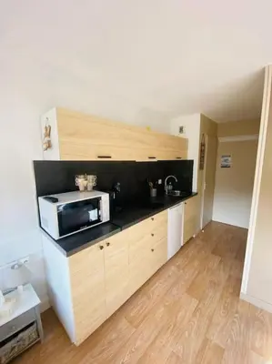 Cuisine ou kitchenette dans l'établissement Appartement résidence le bec de l’aigle