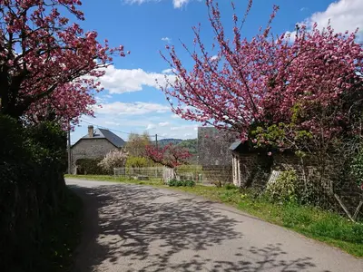 Paysage naturel près de la maison de vacances
