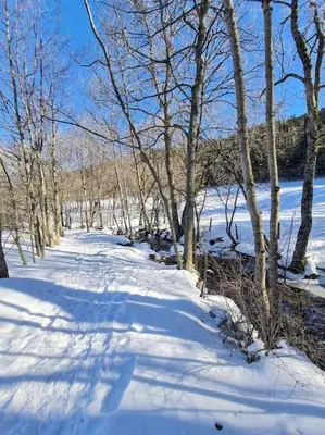 L'établissement Chalet, Murat (nouveau logement) en hiver