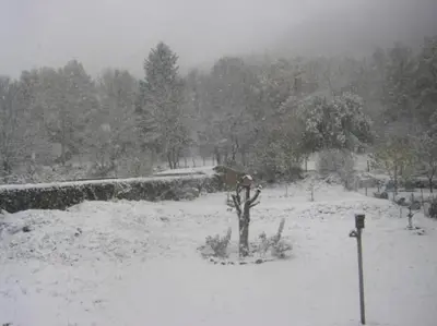 L'établissement Gite au sein du Parc des Volcans d'Auvergne, tous commerces à pied en hiver