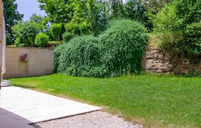 Jardin de l'établissement Cozy Home In Montignac With Kitchenette