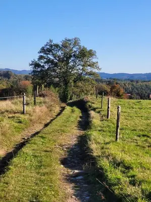 Paysage naturel près de la maison de vacances