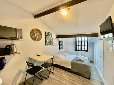 Télévision ou salle de divertissement dans l'établissement «Studio 1 » Rue Huchette -DABNB