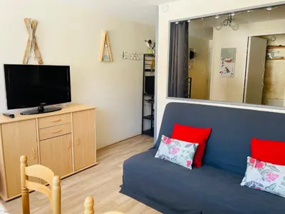 Télévision ou salle de divertissement dans l'établissement Studio pied de pistes Tour de la Biche
