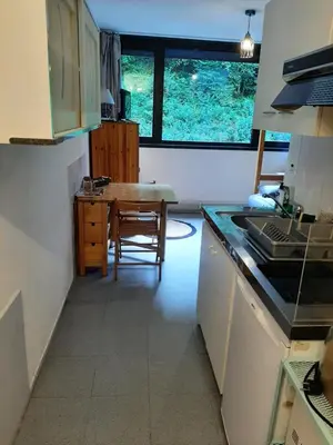 Cuisine ou kitchenette dans l'établissement Studio 19 m2 à louer au Mont-Dore