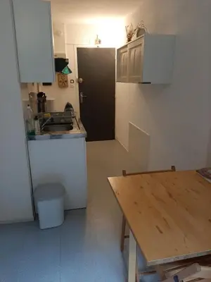 Cuisine ou kitchenette dans l'établissement Studio 19 m2 à louer au Mont-Dore