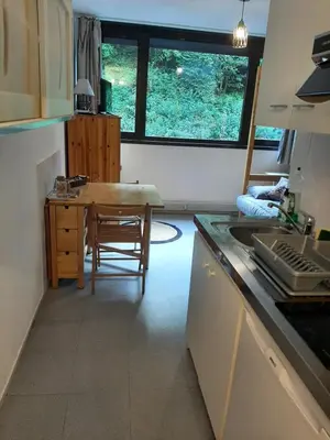 Cuisine ou kitchenette dans l'établissement Studio 19 m2 à louer au Mont-Dore