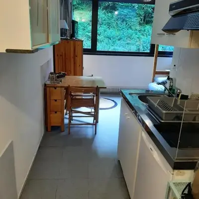 Studio 19 m2 à louer au Mont-Dore