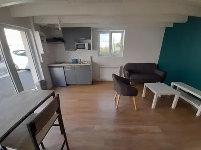 Cuisine ou kitchenette dans l'établissement Bel appartement à 2 pas du CHU