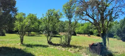 Paysage naturel près de la maison de vacances