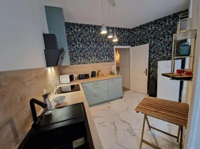 Cuisine ou kitchenette dans l'établissement Appartement spacieux lumineux