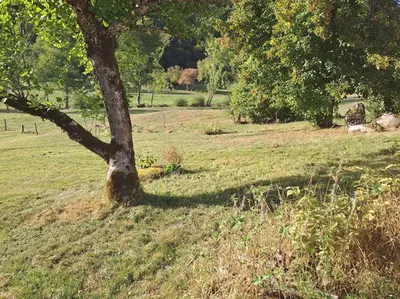 Jardin de l'établissement Ferme auvergnate