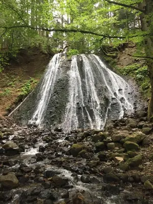 Paysage naturel près de le camping