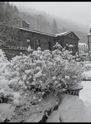 L'établissement Appartement au cœur du Mont-Dore en hiver