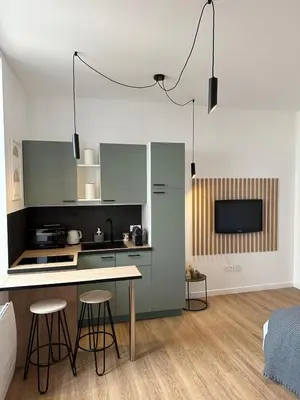 Cuisine ou kitchenette dans l'établissement Studio moderne/rue Encombe Vineuse- DABNB