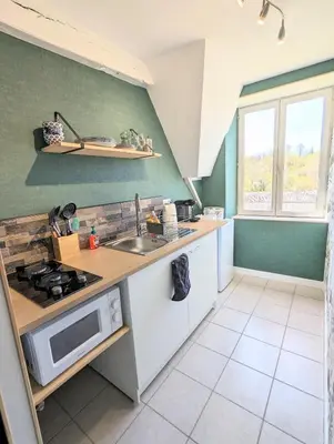 Cuisine ou kitchenette dans l'établissement Studio Silhem