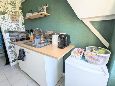 Cuisine ou kitchenette dans l'établissement Studio Silhem