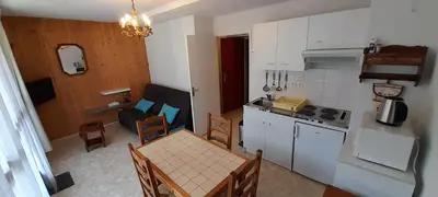 Cuisine ou kitchenette dans l'établissement Studio 23m² Les Hermines n°41