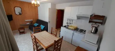 Cuisine ou kitchenette dans l'établissement Studio 23m² Les Hermines n°41