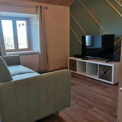 Télévision ou salle de divertissement dans l'établissement Gite L'estive du Clozel Le Salers