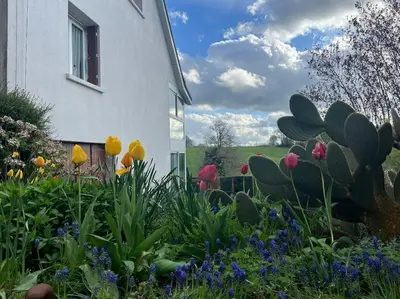 Jardin de l'établissement La maison de Lili proche d'Aurillac