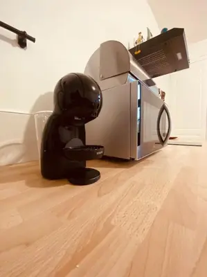 Animal ou animaux domestique(s) séjournant avec des clients dans l'établissement Jolie maison avec jardin au calme en ville
