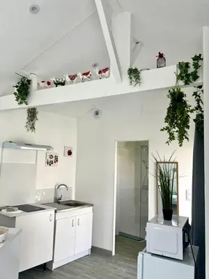 Cuisine ou kitchenette dans l'établissement Casa 4 Saisons - Studio à thème - PiscineJardin - Proche centre-ville