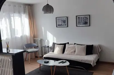 Coin salon dans l'établissement Quartier des emailleurs-T4 avec balcon et garage