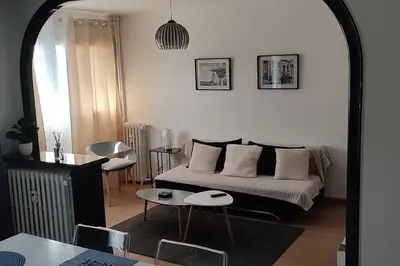 Coin salon dans l'établissement Quartier des emailleurs-T4 avec balcon et garage