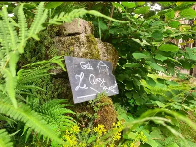 Jardin de l'établissement Gite le Onze beauval