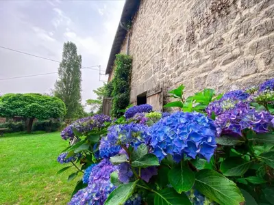 Jardin de l'établissement Gite le Onze beauval