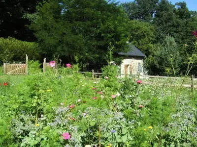Jardin de l'établissement Gîte de France Le fournil 3 épis - Gîte de France 2 personnes MAE-5564