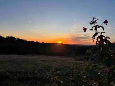 Lever ou coucher de soleil vu de la maison de vacances ou à proximité