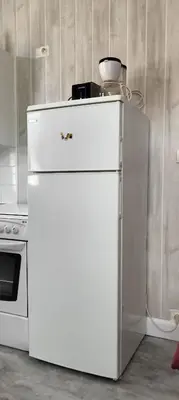 Cuisine ou kitchenette dans l'établissement Résidence les Sources Mont Dore