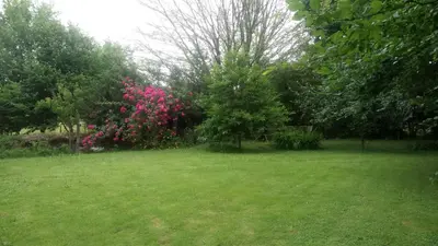 Jardin de l'établissement Gite des papous Meublé de tourisme 4 épis