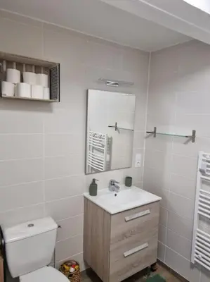 Salle de bains dans l'établissement APT T2 à 500M du centre ville
