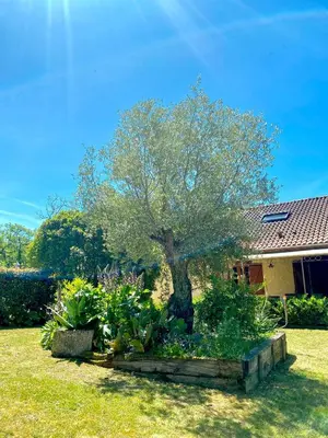 Jardin de l'établissement Pech Joli