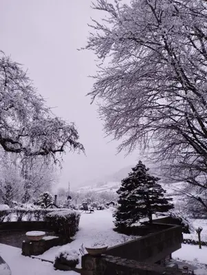 L'établissement Chambre d'hôte la Maronne dans le Cantal en hiver