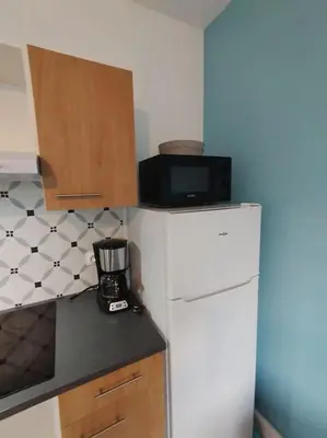 Cuisine ou kitchenette dans l'établissement appartement 2 Pièces