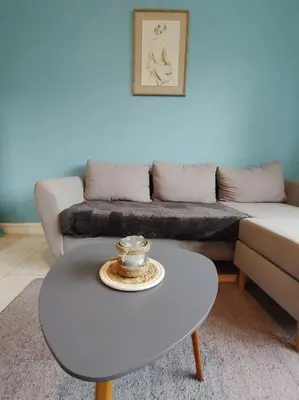 Coin salon dans l'établissement appartement 2 Pièces