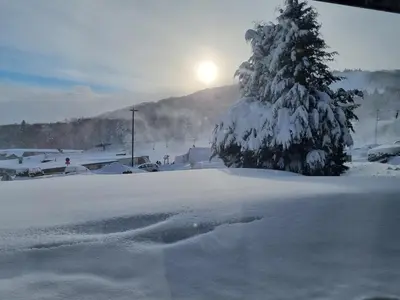 Paysage naturel près de l'appartement