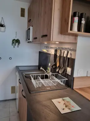 Cuisine ou kitchenette dans l'établissement Studio centre Super-Besse