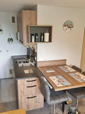 Cuisine ou kitchenette dans l'établissement Studio centre Super-Besse