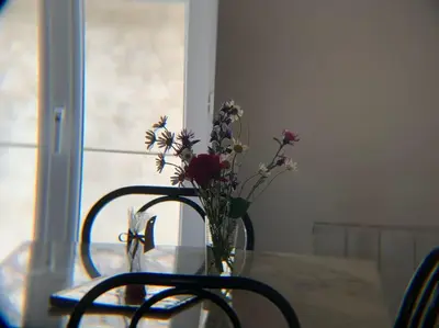 Plan de l'établissement Gîte du Sabotier
