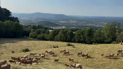 Paysage naturel près de la maison de vacances