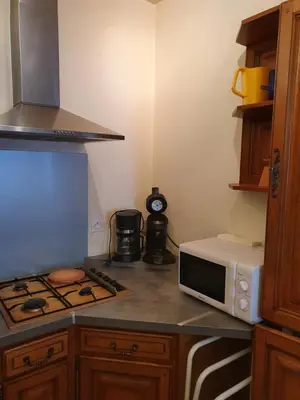 Cuisine ou kitchenette dans l'établissement 2 Frère Genestier