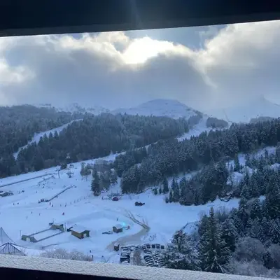 Laveissiere