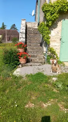 Jardin de l'établissement la Metairie